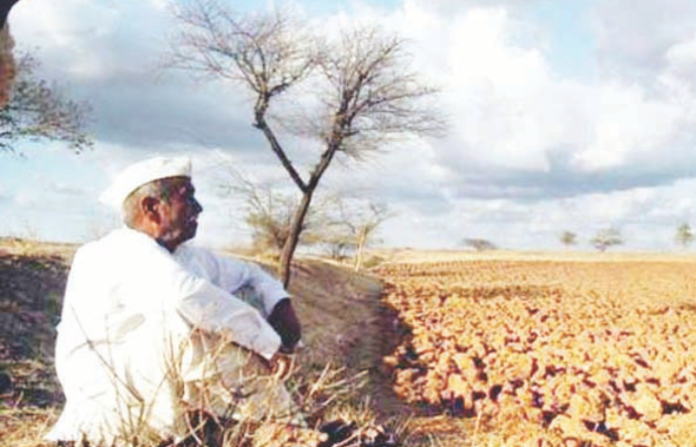 farmer