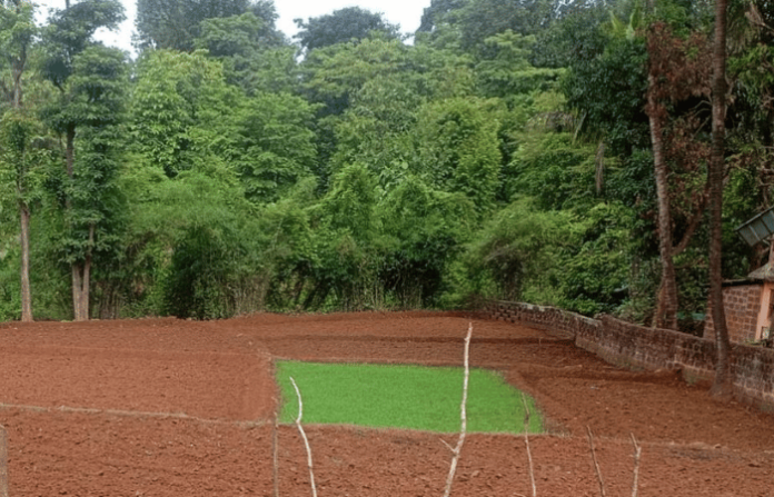 farming