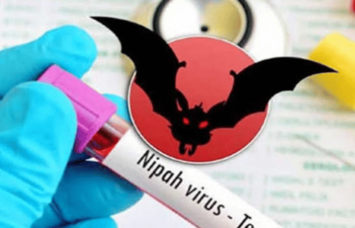 kerala-on-high-alert-after-43-year-old-man-tests-positive-for-nipah-virus-in-kozhikode
