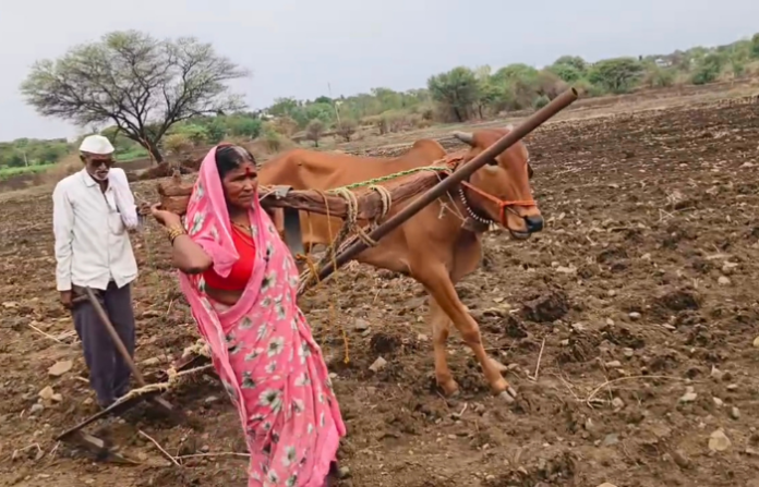 latur news