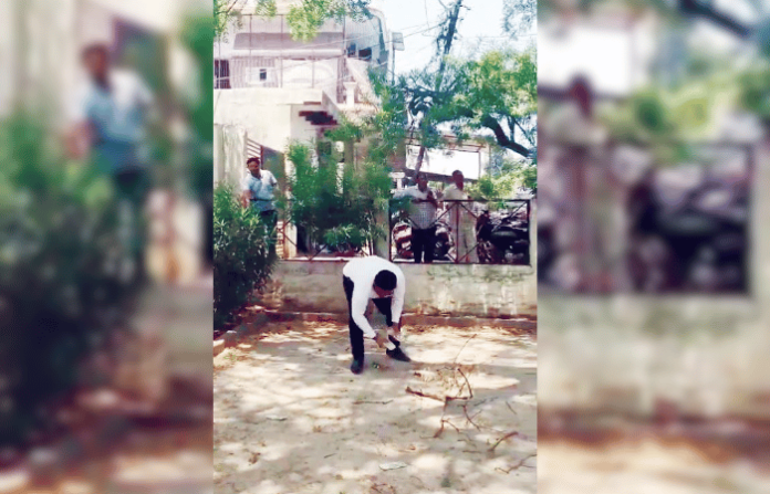 monkey video