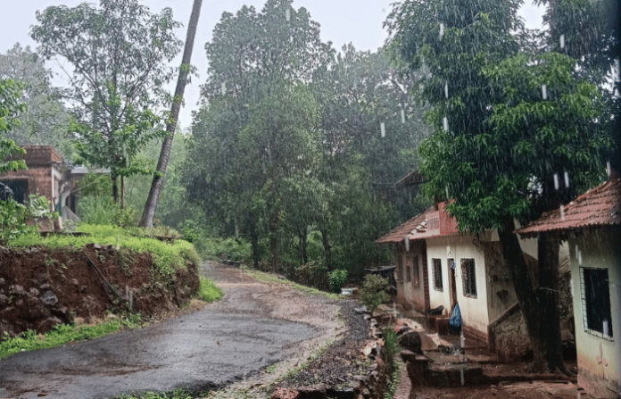 rain
