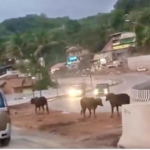Ratnagiri News – मुंबई-गोवा राष्ट्रीय महामार्गावरील सोनवी पुलावर अपूर्ण मार्गिकेवरून जीवघेणी वाहतूक सुरू; निष्काळजीपणामुळे वाहनधारकांचा जीव टांगणीला