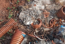 Ratnagiri News – कामथे नदीपात्रात वैद्यकीय कचरा; ग्रामस्थांचा संताप