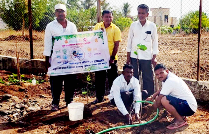 tree planting