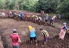 Ratnagiri News – रूढी-परंपरांचे माहेरघर ठरलेले चव्हाणवाडी; गावात अजूनही जपली जाते सामूहिक शेतीची परंपरा