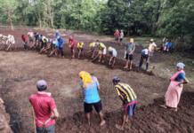 Ratnagiri News – रूढी-परंपरांचे माहेरघर ठरलेले चव्हाणवाडी; गावात अजूनही जपली जाते सामूहिक शेतीची परंपरा
