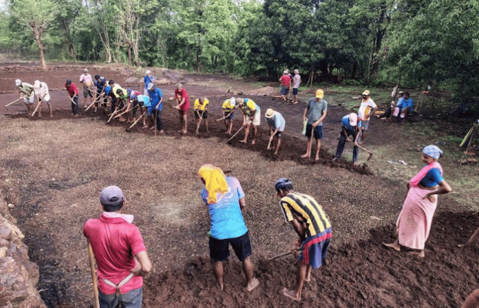 unity farming