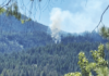 वॉशिंग्टनमध्ये अमेरिकन लढाऊ विमान कोसळले us-military-fighter-jet-crashes-in-washington-state-rimrock-lake-pilot-safe