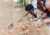 ट्रेंड – मैना आणि तरुणाच्या मैत्रीने जिंकले मन!