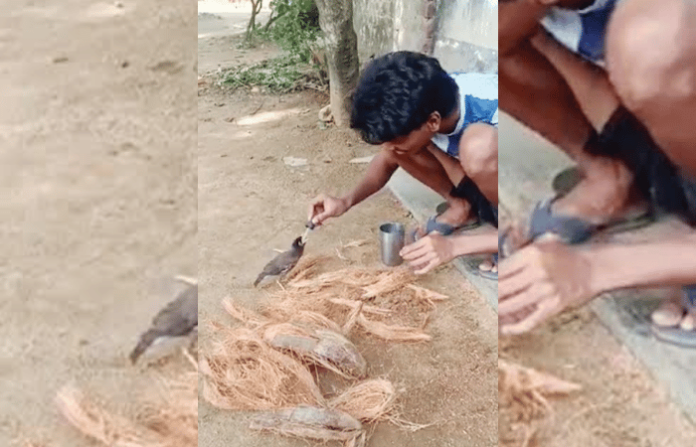 video