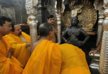 श्री विठ्ठल मूर्ती संवर्धन उपचार, रासायनिक की आयुर्वेदिक? निर्णय पुरातत्व विभाग घेणार; जिल्हाधिकाऱ्यांची माहिती