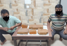 खेडजवळ १० किलोहून अधिक व्हेल माशाची उलटी जप्त, दोघांना न्यायालयीन कोठडी