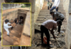 Yavatmal News – श्रमदानाने उघडला ऐतिहासिक वारसा, विद्यार्थ्यांनी स्वच्छ केली 17व्या शतकातील बारव