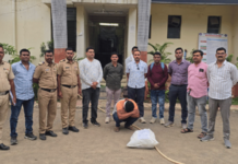 Yavatmal News – झिरो टॉलरन्सचा धडाका; एलसीबीच्या छाप्यात अडीच किलो गांजा जप्त, गुन्हा दाखल