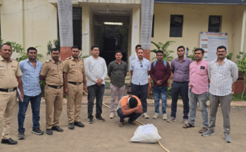 Yavatmal News – झिरो टॉलरन्सचा धडाका; एलसीबीच्या छाप्यात अडीच किलो गांजा जप्त, गुन्हा दाखल