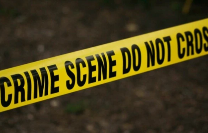 Crime News (4)