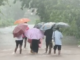 Dapoli News – दापोलीत सलग चार दिवस मुसळधार पाऊस, केसरी नदीवरील पूल गेला पाण्याखाली