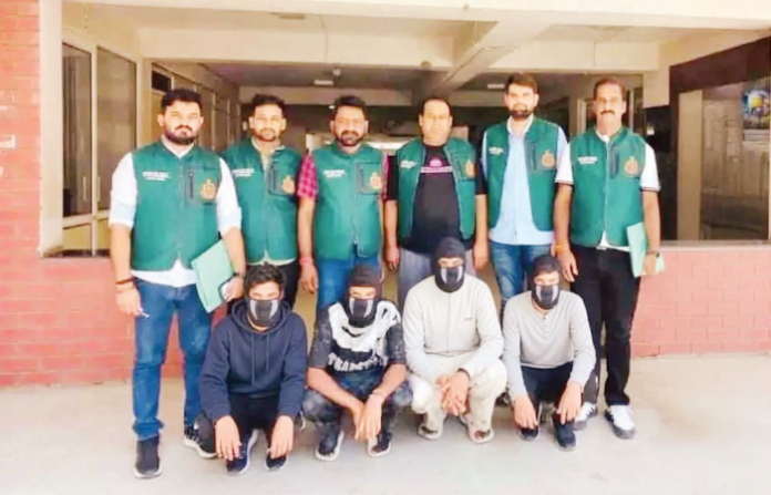 Delhi (6)