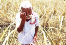 जुलै संपण्यापूर्वी शेतकरी कर्जमाफी, कृषिमंत्र्यांचा नवा मुहूर्त