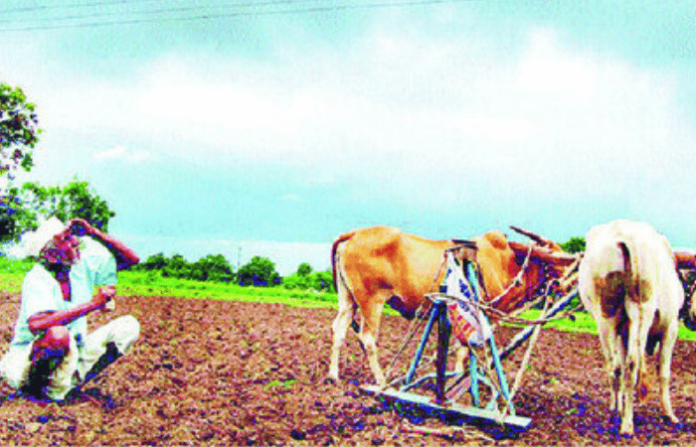Farmer