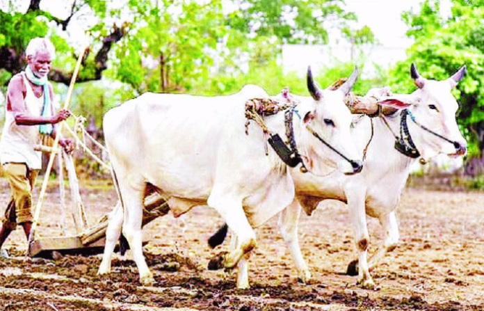 Farmer news