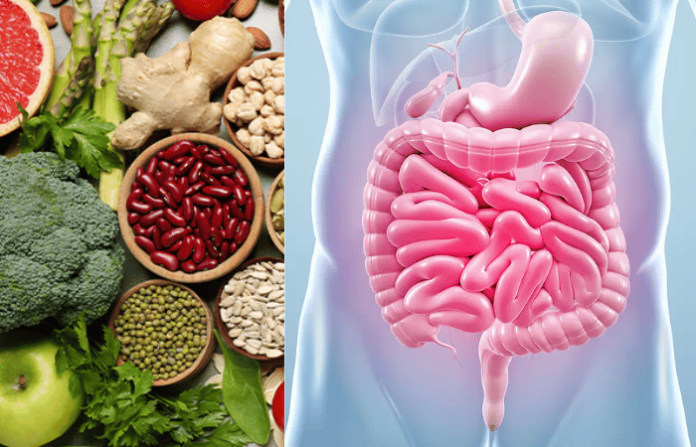 Gut Health
