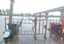पंचगंगेच्या पातळीत 10 फुटांची वाढ; 20 बंधारे पाण्याखाली; घटप्रभा धरण ओव्हरफ्लो, दमदार पावसाने कोल्हापूर जिल्हा चिंब
