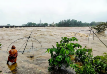 ओडिशात पावसाचा कहर; पुरामध्ये वाहून ३ जणांचा मृत्यू, २ लाखांहून अधिक लोक बाधित