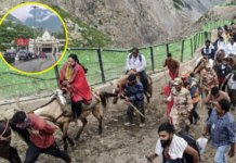 मुसळधार पावसामुळे वैष्णोदेवी, अमरनाथ यात्रा गेल्या 4 दिवसांपासून स्थगित
