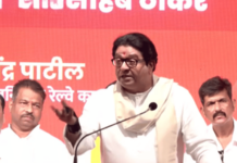 ‘मिसिंग लिंक’बद्दल बोलले तर यात महाराष्ट्राचा अपमान कुठे आला? राज ठाकरे यांचा मुख्यमंत्री देवेंद्र फडणवीस यांना सवाल