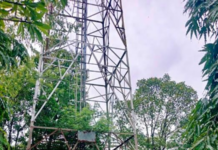 Ratnagiri News – टेरवमध्ये बंद पडलेल्या BSNL टॉवरचा प्रश्न गंभीर, जुना टॉवर हटवून नवीन टॉवर उभारण्याची ग्रामस्थांची मागणी