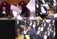 हे सरन्यायाधीशांना द्या, सर्वोच्च न्यायालयात वकिलाने कागदपत्रं उधळली; नेमकं काय घडलं? वाचा…