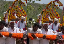 नाथवंशजांना बैलगाडीतून घाट पार घालत जपली शतकांची परंपरा, हटकरवाडीतील तरुणांनी दाखवले श्रध्येचे दर्शन