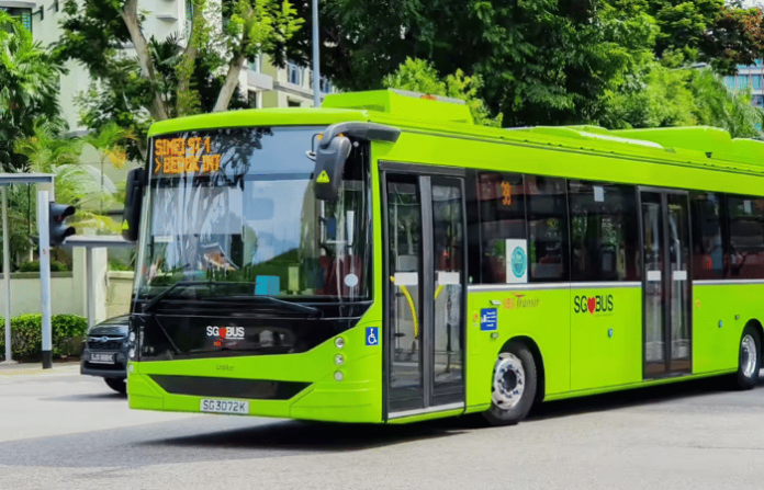 bus