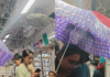मुंबईत एसी लोकलमध्ये पावसाची सर, प्रवाशांची तारांबळ