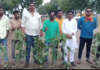 Yavatmal News – रस्त्यांवरील खड्ड्यात बेशरमाचे झाड लावत नागरिकांचे अनोखे आंदोलन