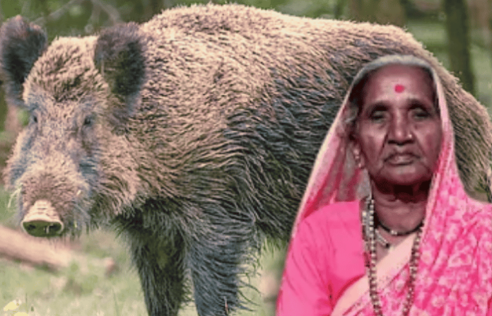 ahilyanagar news