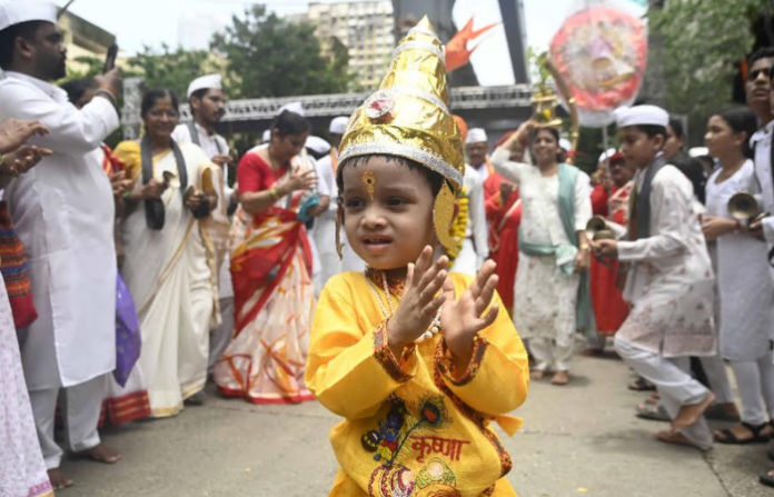 ashadhi ekadashi (16)