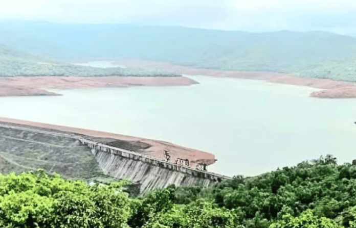 chandoli dam