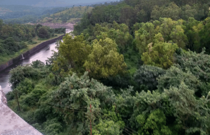 chandoli dam sangli