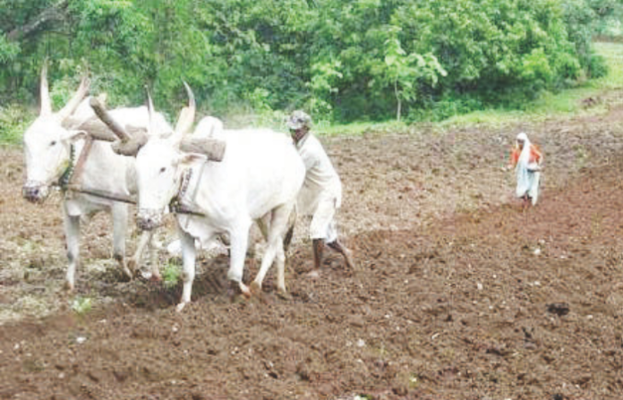 farmer