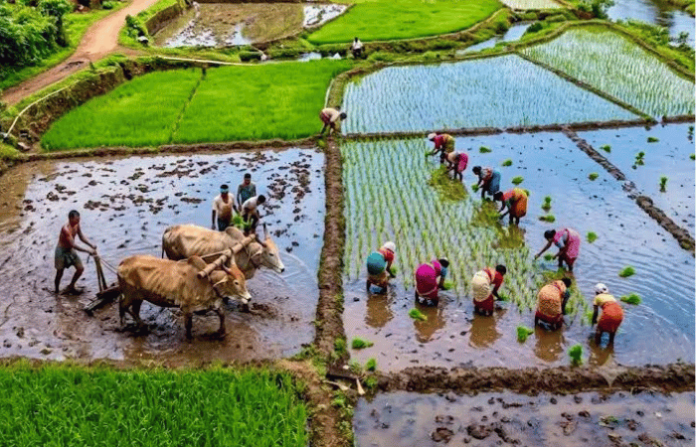 farming