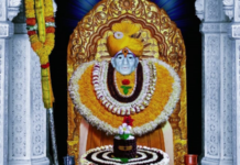 आषाढी एकादशीनिमित्त शेगाव संस्थानचे मंदिर रात्रभर खुले; भाविकांसाठी विशेष व्यवस्था