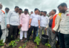 गोगलगाईच्या प्रादुर्भावामुळे सोयाबीनचे मोठे नुकसान, पंचनाम्यांची कैलास पाटील यांची मागणी; पाहणी दौऱ्यातूनच कृषिमंत्र्यांना थेट फोन