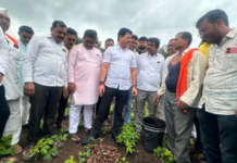 गोगलगाईच्या प्रादुर्भावामुळे सोयाबीनचे मोठे नुकसान, पंचनाम्यांची कैलास पाटील यांची मागणी; पाहणी दौऱ्यातूनच कृषिमंत्र्यांना थेट फोन