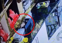 उंदराची ‘हाय-प्रोफाइल’ चोरी! 10 लाखांचा हिरा केला लंपास, CCTV फुटेज पाहून सर्वजण अवाक