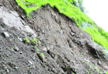 रायगडातील दरडग्रस्त गावांना बांबूचे संरक्षक कवच ठरणार वरदान; 20 लाख रोपांची लागवड, माती संरक्षण मॉडेल