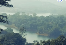 महाबळेश्वरमध्ये विक्रमी पाऊस! ढगफुटीसारखा बरसला, 24 तासांत 510 मिमिची नोंद