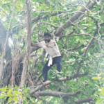 कर्जमाफीसाठी शेतकऱ्यांसह विधान भवनात घुसण्याचा प्रयत्न, झाडावर चढून आंदोलन, सातबारे भिरकावले